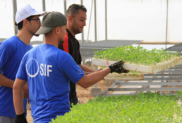 jeunes talibés à Bamako