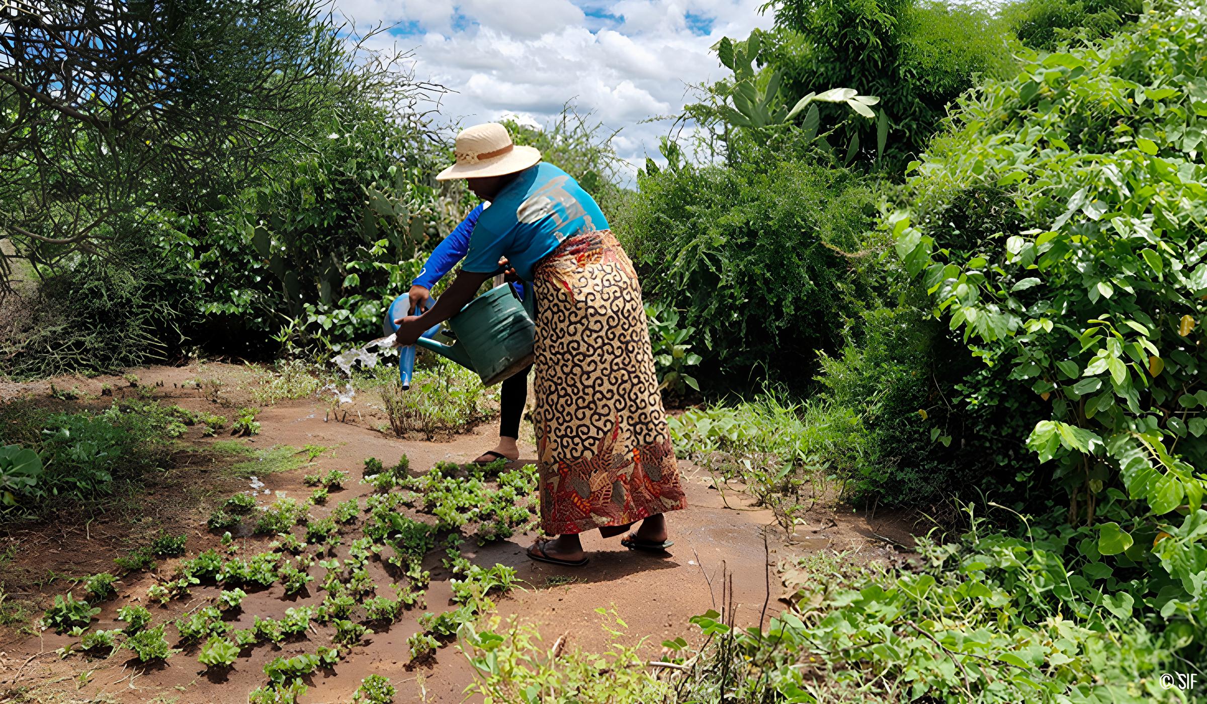 Journée Mondiale de l'Alimentation